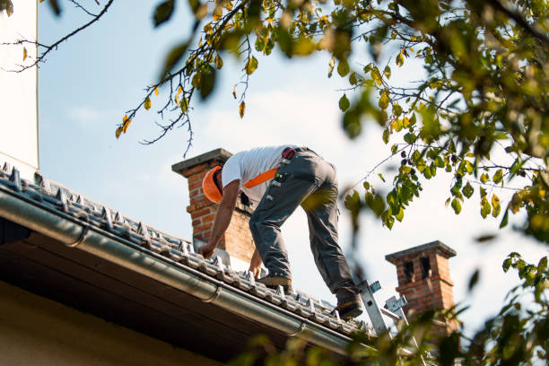 Best Metal Roofing Contractor  in Edwards Af, CA